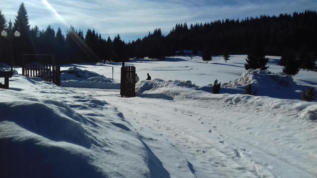 Smestaj U Novoj Varosi, Zlatar Daire Nova Varoš Dış mekan fotoğraf