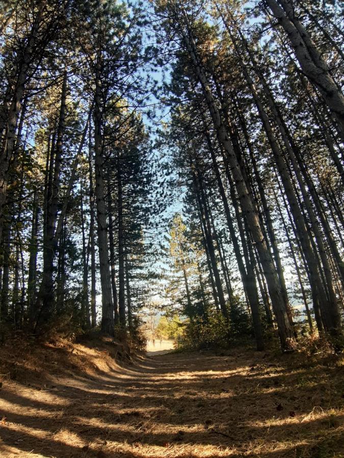 Smestaj U Novoj Varosi, Zlatar Daire Nova Varoš Dış mekan fotoğraf